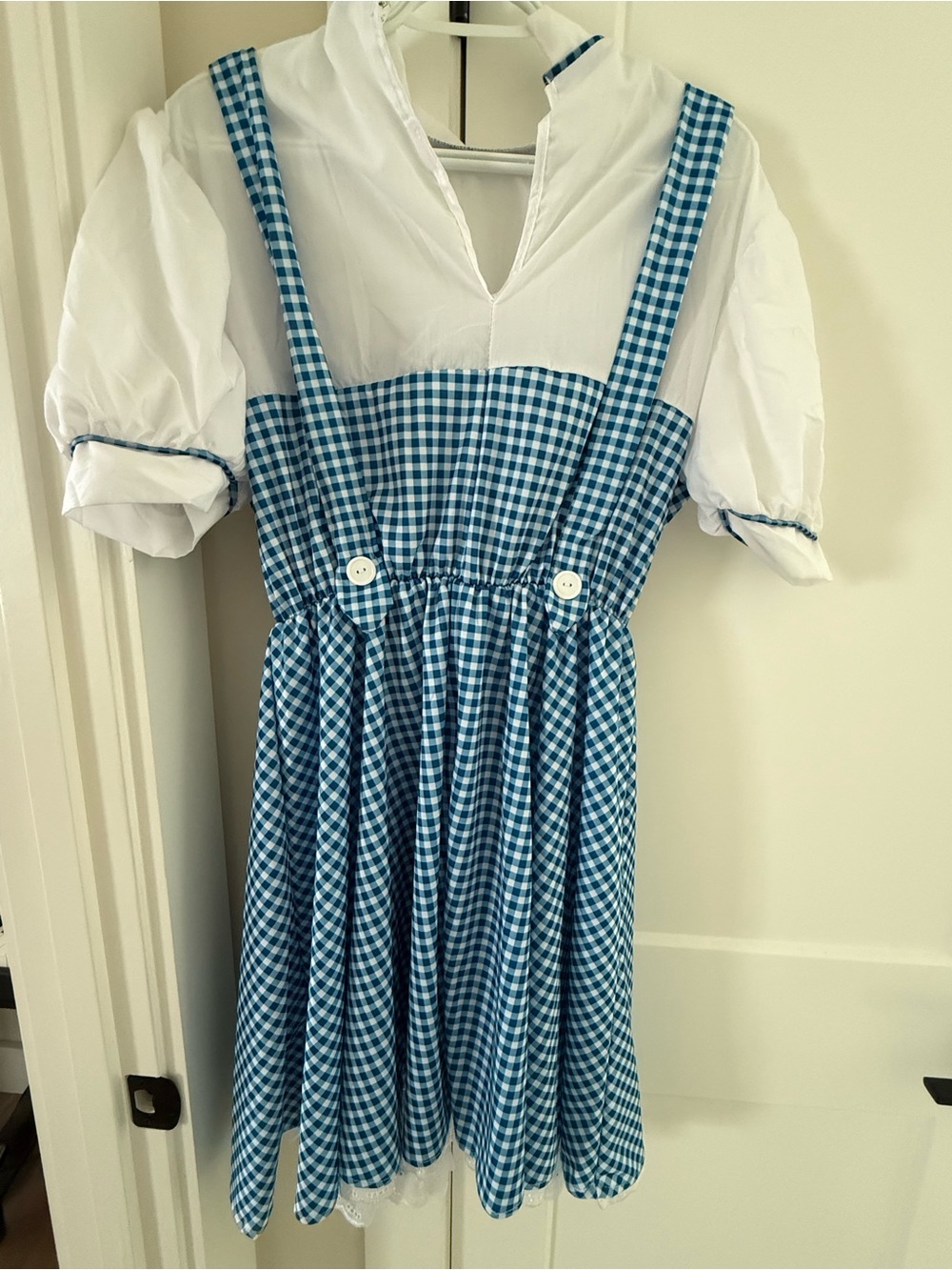 Wizard of Oz Dorthy Costume Dress